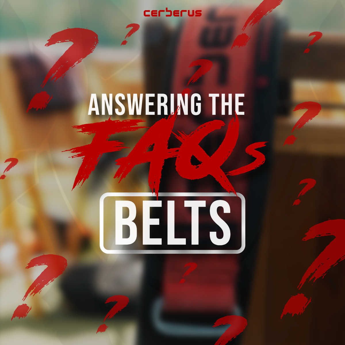FAQs - All About Lifting Belts