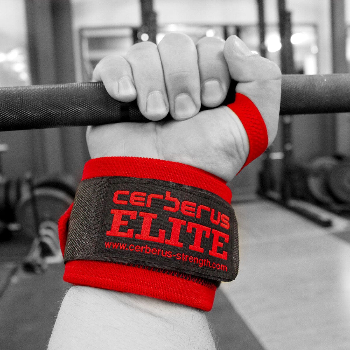 Cerberus Elite Wrist Wraps - Cerberus-strength