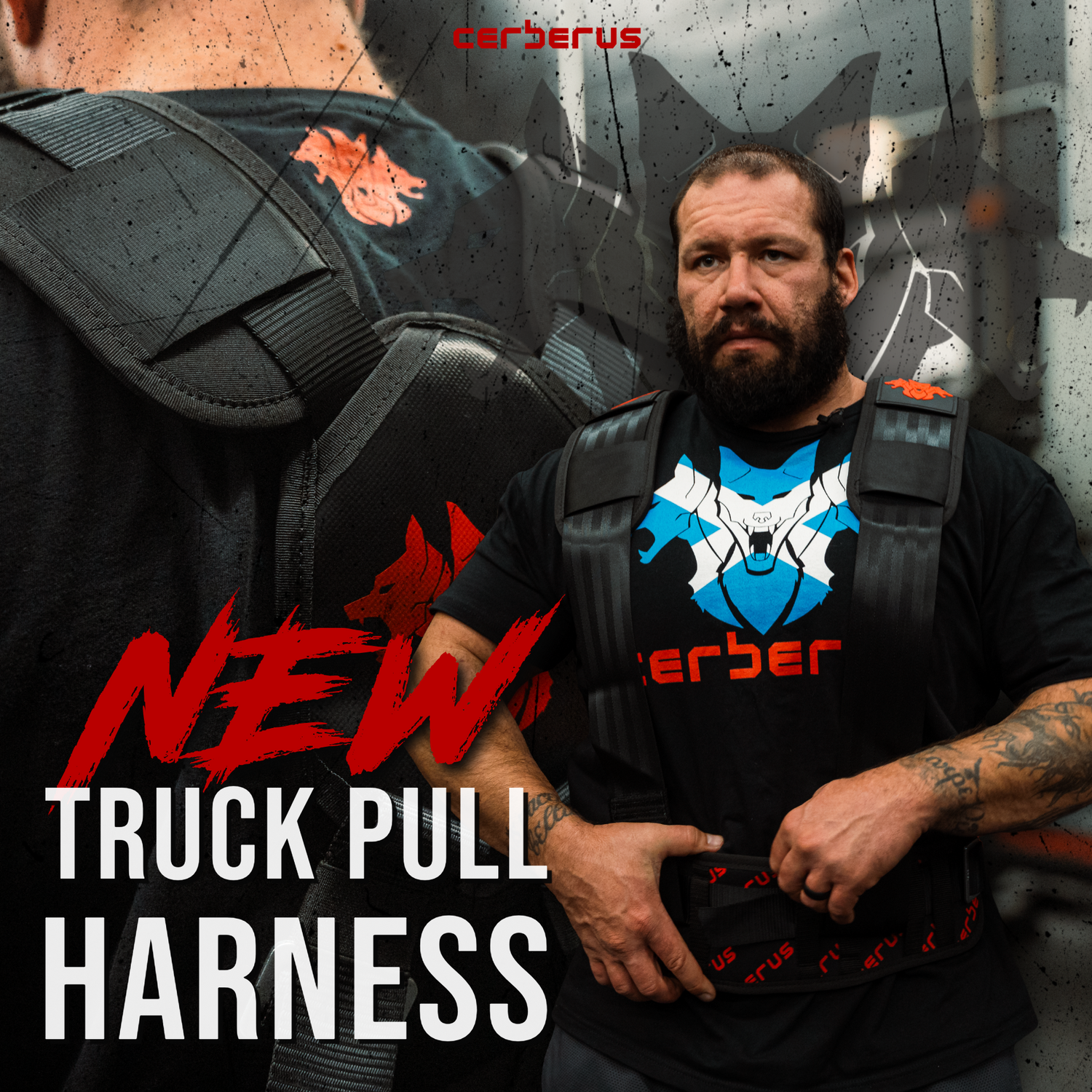Monster Truck Pull Harness, Ins & Outs