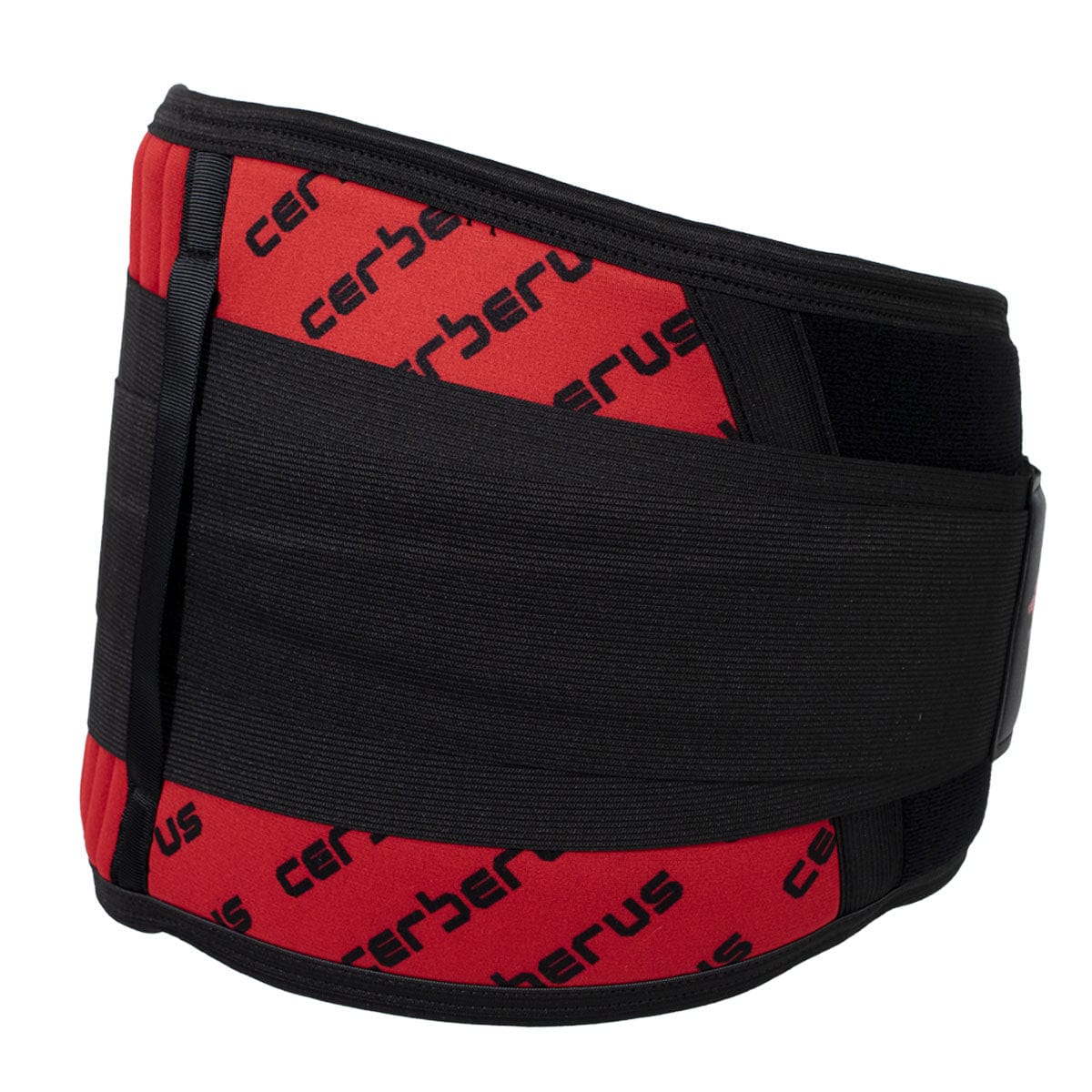 Cerberus Neoprene Back Support - Cerberus-strength